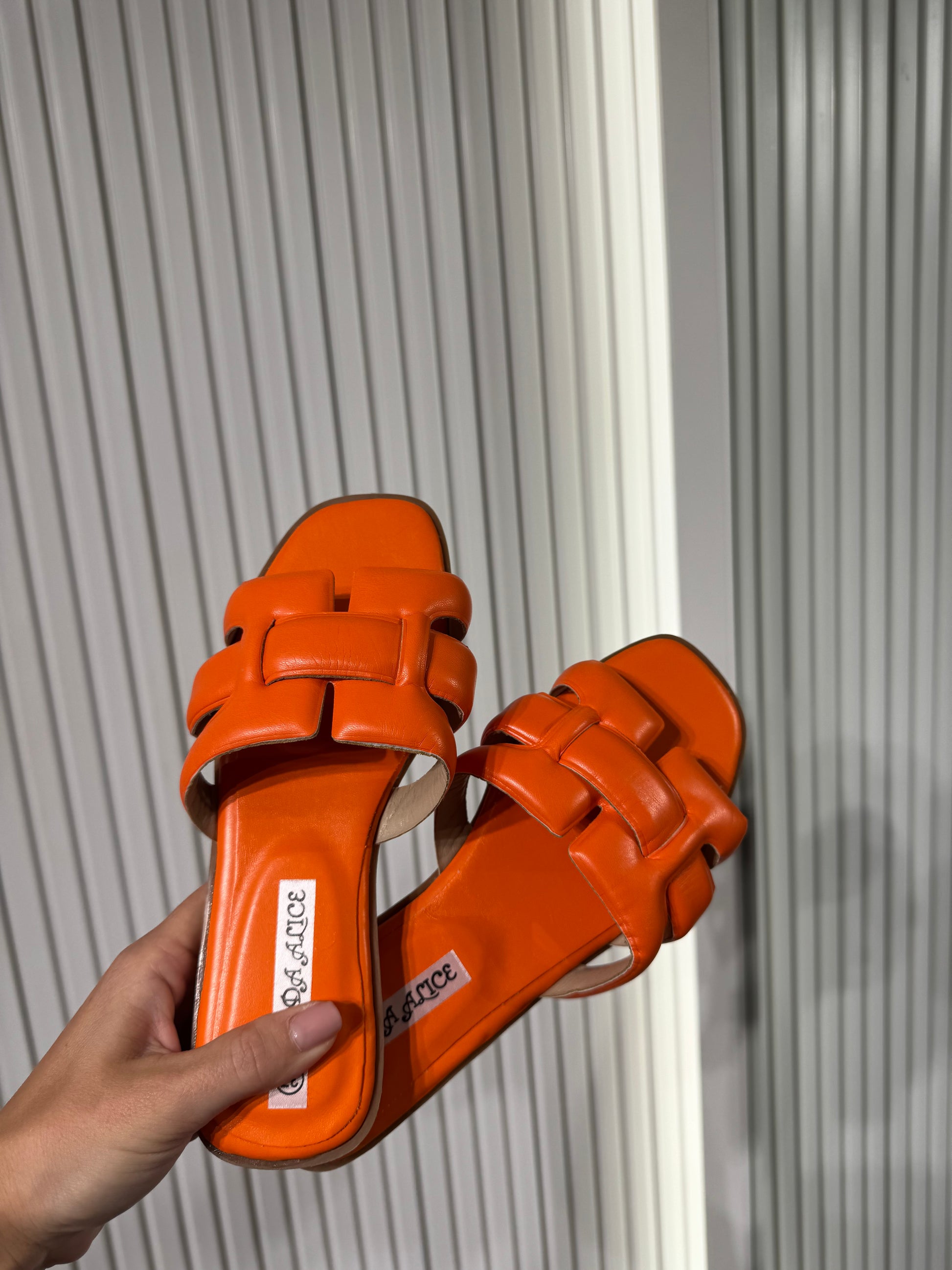 Ciabatta 397 ORANGE