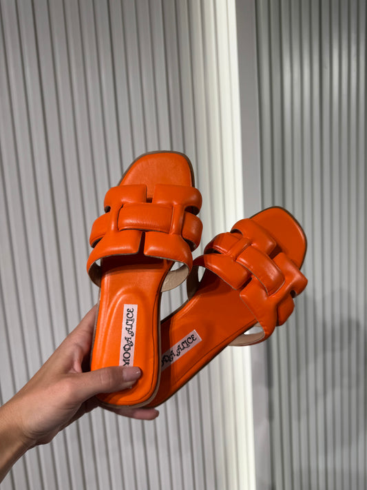Ciabatta 397 ORANGE